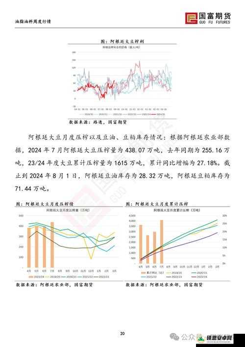 大豆行情网免费 V 实时行情精准把握与分析